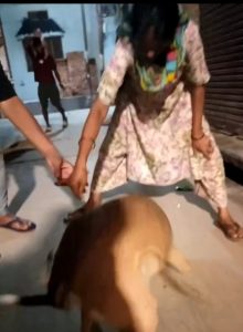 Screenshot_2024-09-10-22-20-47-90_6012fa4d4ddec268fc5c7112cbb265e7