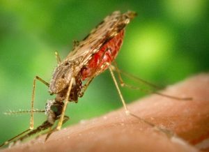 Screenshot_2025-04-24-19-08-25-88_680d03679600f7af0b4c700c6b270fe7