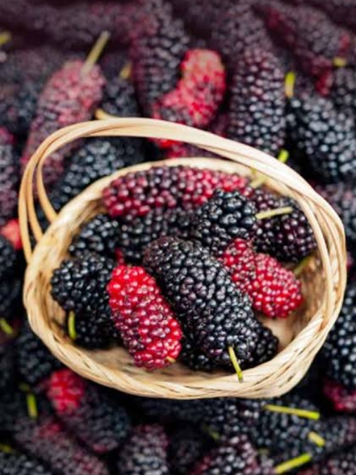 Screenshot_2025-06-04-10-37-33-30_680d03679600f7af0b4c700c6b270fe7